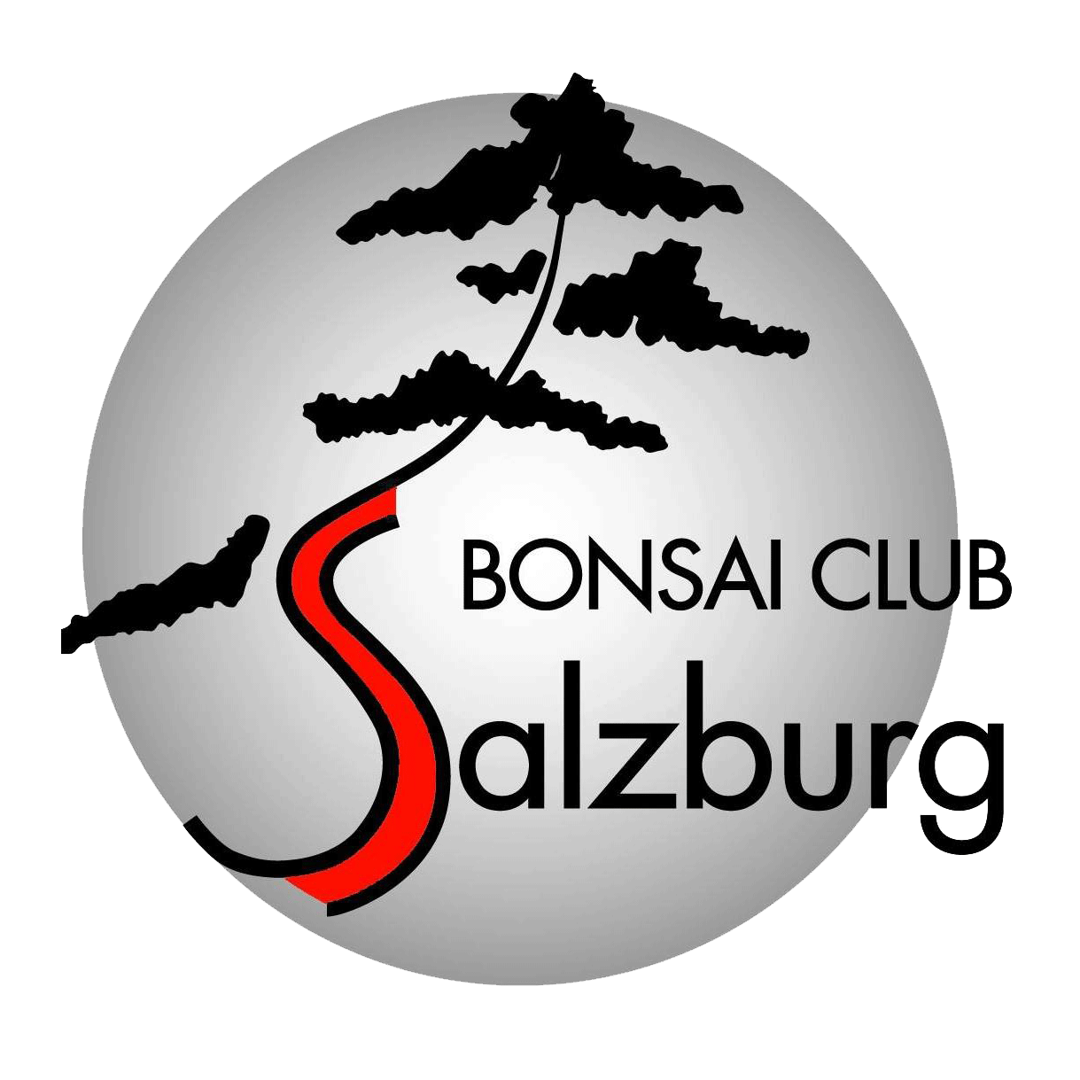 Bonsaiclub Salzburg