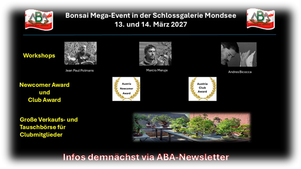 Megaevent 2027
